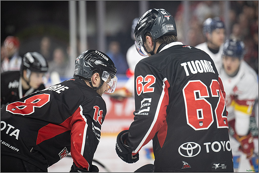 PENNY DEL; Koelner Haie-Duesseldorfer EG ; Koeln, 16.02.2025
